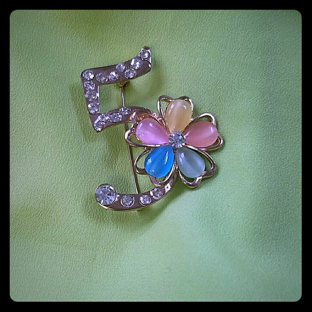 #5 brooch ( best offer )